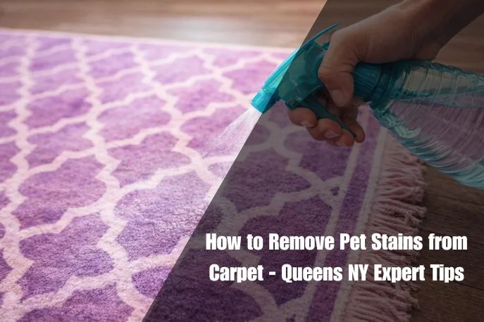 How to Remove Pet Stains from Carpet Queens NY Expert Tips